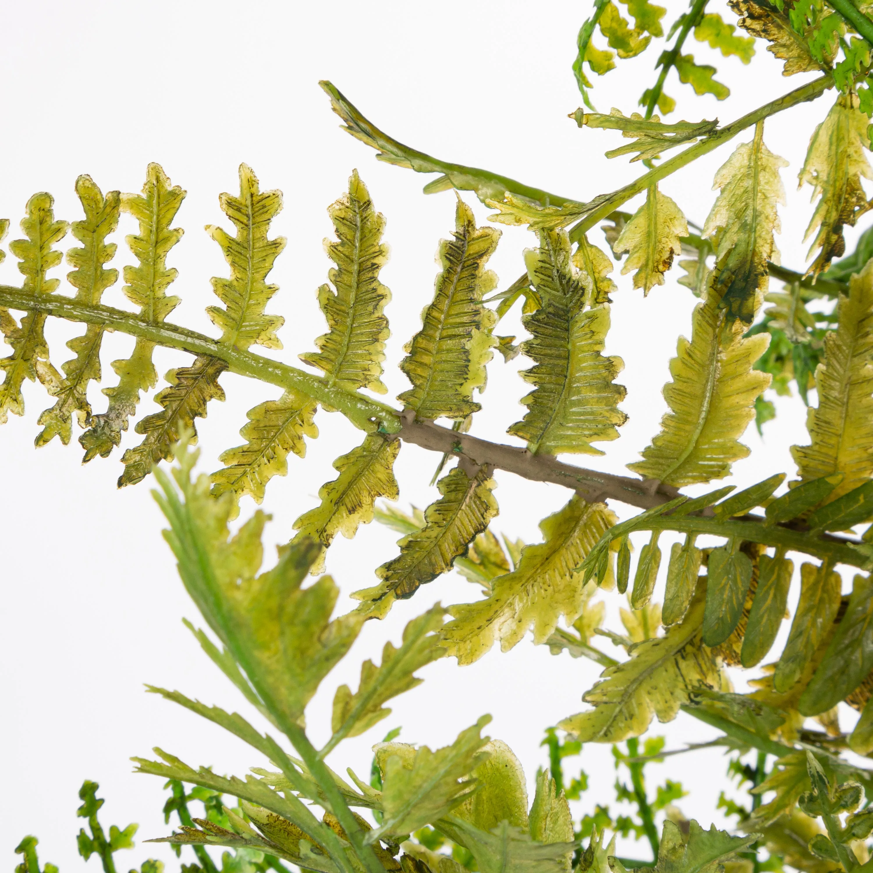 26 in. Fern Wreath