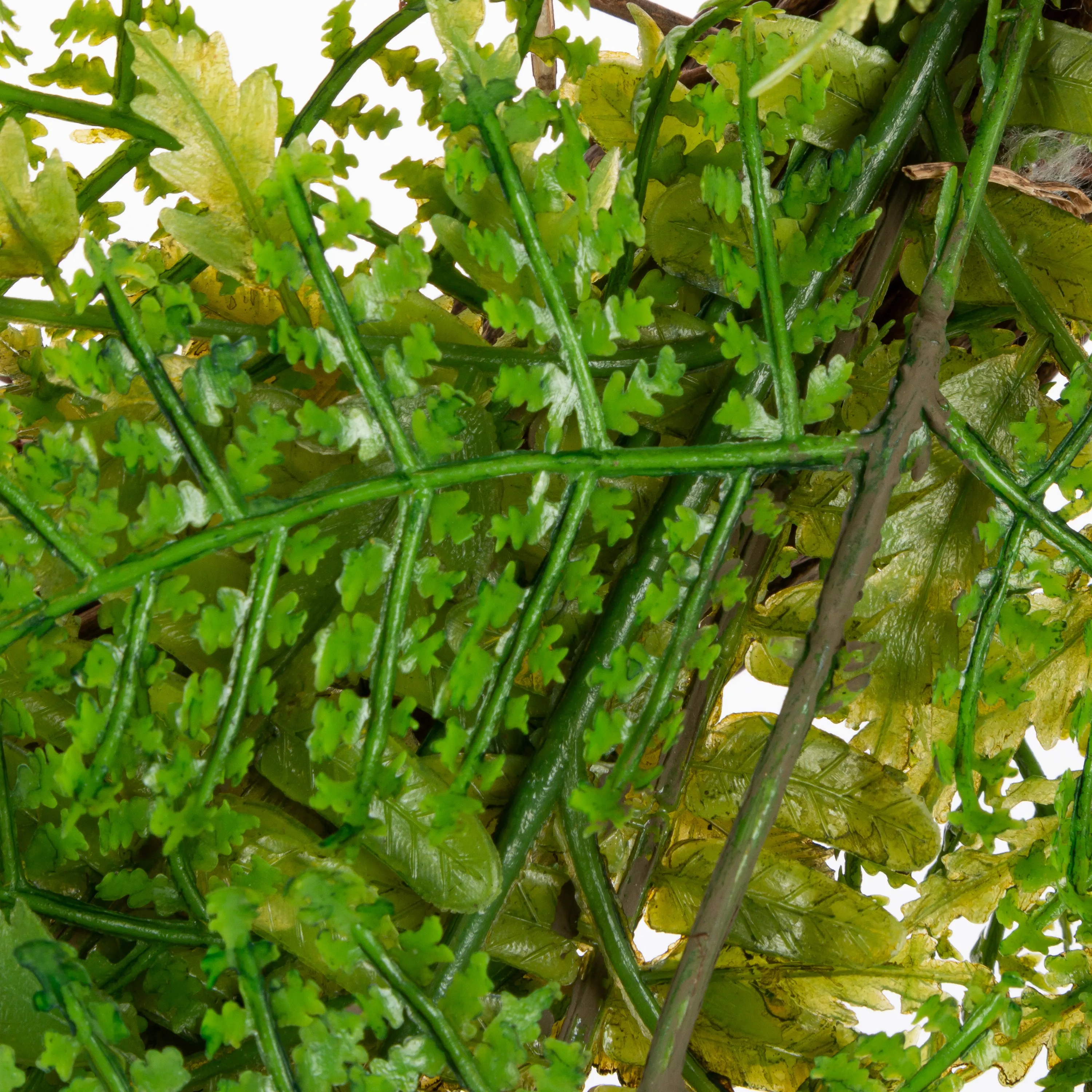 26 in. Fern Wreath